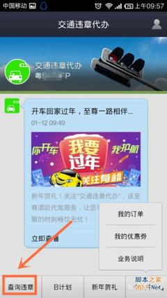 手机支付宝钱包怎么/如何查寻交通违章